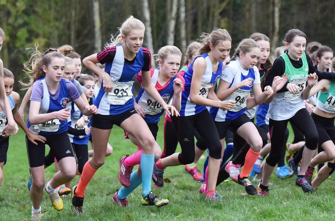 23014879246_324e3ff6bb_o