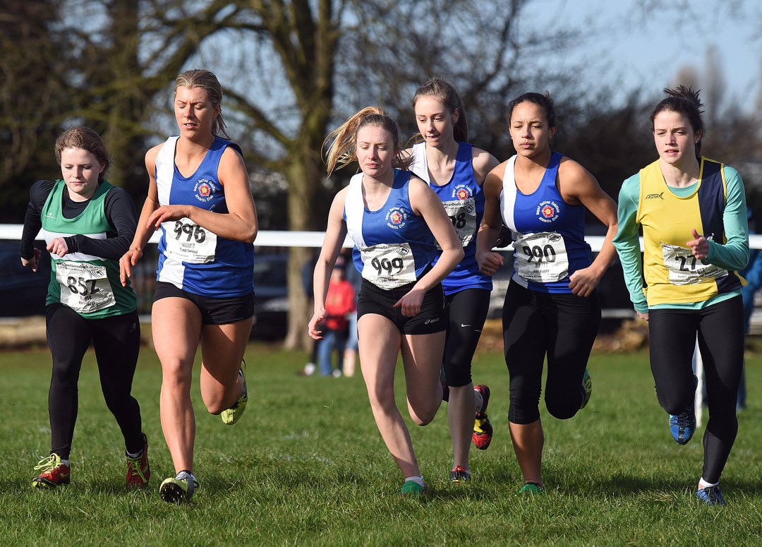 24397026904_d3d381d3a4_o