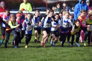 24732050400_205a697c3e_o